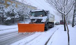 Sakarya'da kar yağışı sonrası kapanan 45 grup yolundan 33'ü ulaşıma açıldı