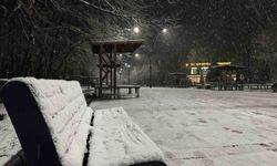 Sakarya'da lapa lapa kar yağışı başladı