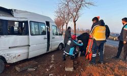 Şanlıurfa'da işçi servisi ağaca çarptı: 7 yaralı