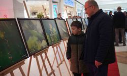 Sapanca Gölü fotoğrafları Gazze için umuda dönüştü: Geliri yetim ve öksüz çocuklara bağışlanacak