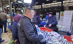 Sarıgöl'de su ürünleri satış yerleri denetlendi