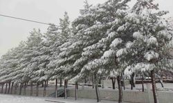 Sason'da yoğun kar yağışı hayatı olumsuz etkiliyor