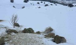 SCÜ, Yabani hayvanlar için doğaya yem bıraktı