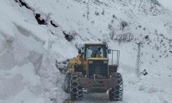 Siirt'te mahsur kalan minibüs kurtarıldı