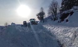 Şirvan'da kar yağışı başladı