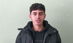 Sivas'ta kurtlar tedirgin etmeye başladı