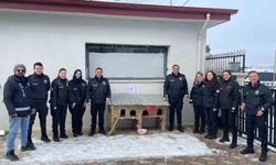 Sivrice polisinden üşüyen minik dostlarına kedi evi