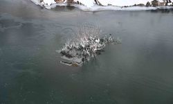 Soğuk hava Habur Çayı'nı dondurdu