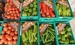 ŞOK Marketler'de pestisit analizinin kapsamı genişliyor: Domatesten sonra biberler de analiz ediliyor