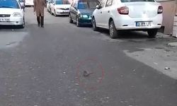 Sokakta fare paniği: Çevreyi kötü kokular sardı