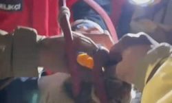 Su pompası deliğine düşen yavru kediyi itfaiye kurtardı