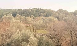 Tarlada aniden fenalaşan bir kişi hayatını kaybetti