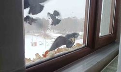 Tatvan'da yürekleri ısıtan davranış