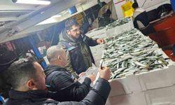 Tekirdağ'da gırgır teknelerinde su ürünleri denetimleri