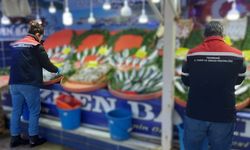 Tekirdağ'da su ürünlerine sıkı denetim