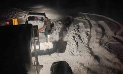 Tekman'da karda mahsur kalan araç belediye ekiplerince kurtarıldı