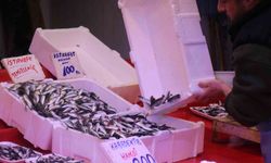 Tezgahlar istavritle doldu: Fiyatlar dibi gördü