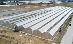 TKDK'dan 2025'te 61 projeye 123 milyon TL hibe