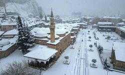 Tokat'ta masalsı kış manzarası