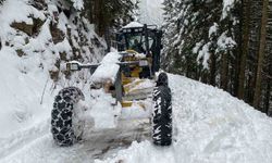 Trabzon'da 70 mahalleye kar nedeniyle ulaşım sağlanamıyor