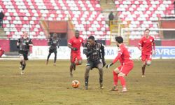 Trendyol 1. Lig: Vanspor FK: 0 - Boluspor: 1