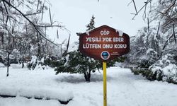 Tunceli'de yoğun kar yağışı etkili oldu