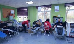 Türkeli'de okullarda rekor kan bağışı: 3 günde 253 ünite kan toplandı