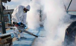 Uşak Belediyesi haşerelere karşı gereken önlemleri aldı