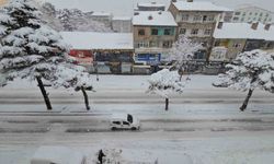 Uzmanından Bitlis için 'kar ve su hasadı' uyarısı