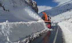 Van-Çatak yoluna düşen çığ temizleniyor