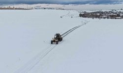 Van'da 283 yerleşim yerinin yolu kapandı