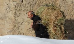 Van'da besicilerin zorlu kış mesaisi