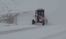 Van'da kardan dolayı kapanan 287 yoldan 89'u açıldı