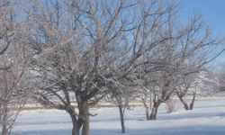 Van'da Sibirya soğukları hayatı olumsuz etkiliyor