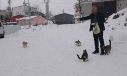 Yaklaşık 2 bin nüfuslu köyde kışın sadece bir aile yaşıyor