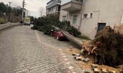Yalova'da fırtına hayatı olumsuz etkiliyor