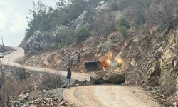 Yamaçtan kopan kaya yola düştü