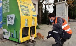 Yıldırım Belediyesi'nden sokak hayvanlarına sıcak yuva