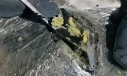 Yüksekova'da 30 kilo Skunk ele geçirildi: 2 şüpheli gözaltında