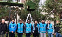 Yurt öğrencileri kuşlar için ev yaptılar