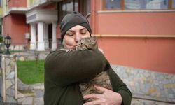 20 yıldır sokak kedilerine annelik yapıyor: 'Sadece sevgi istiyorlar'
