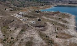 7,7 milyon yıllık tarihe ışık tutan Taşhan'da daha sonraki dönemlerde yaşayan türlerin fosilleri bulundu