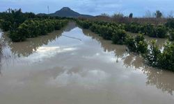 Adana'da şiddetli yağış, tarlaları sular altında bıraktı