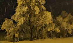 Adilcevaz'da kar yağışı beraberinde güzel görüntüler getirdi