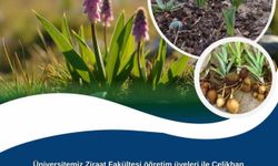 Adıyaman Üniversitesinden kırsal kalkınma için salep hamlesi