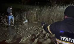 Adıyaman'da sele yakalanan araç suya gömüldü