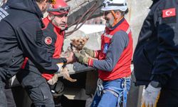 Afetlerde mahsur kalan hayvanlar unutulmayacak