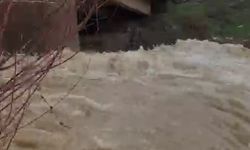 Arıcak'ta kar eridi, dereler coştu