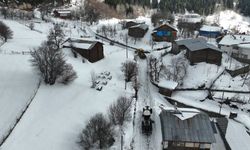 Artvin Orman Bölge Müdürlüğü'nden karla mücadeleye destek