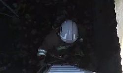 Atık su deposuna düşen kediyi kurtaran itfaiyeci, alkışlarla karşılandı